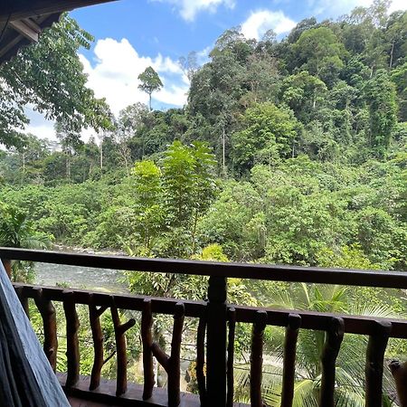 Kupu Kupu Garden Guest House & Cafe Bukit Lawang Exteriör bild