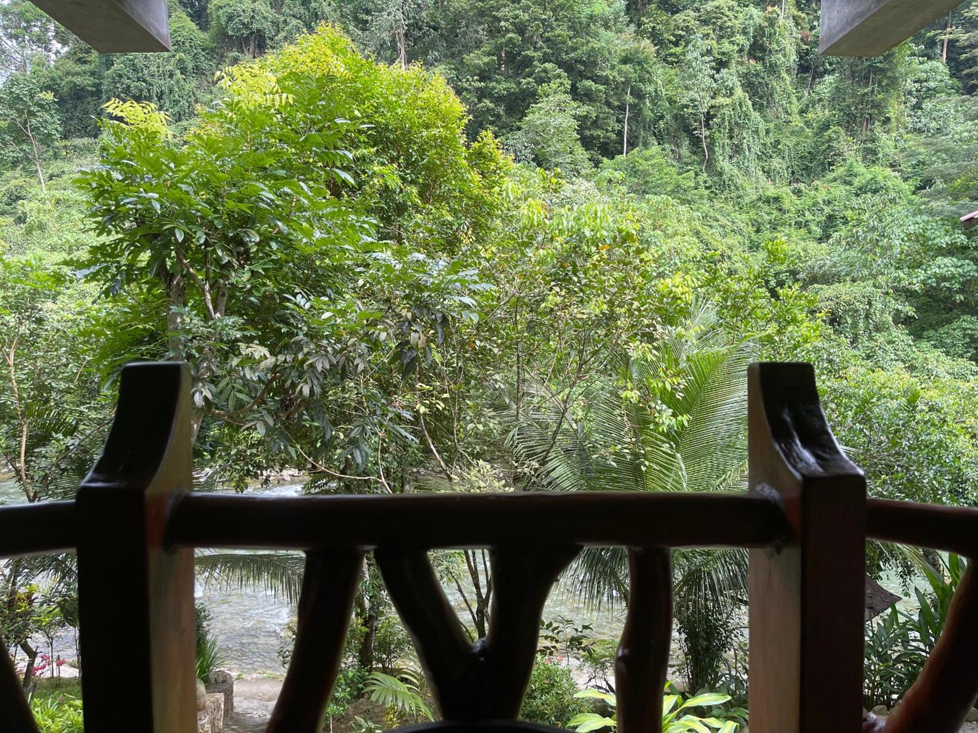 Kupu Kupu Garden Guest House & Cafe Bukit Lawang Exteriör bild