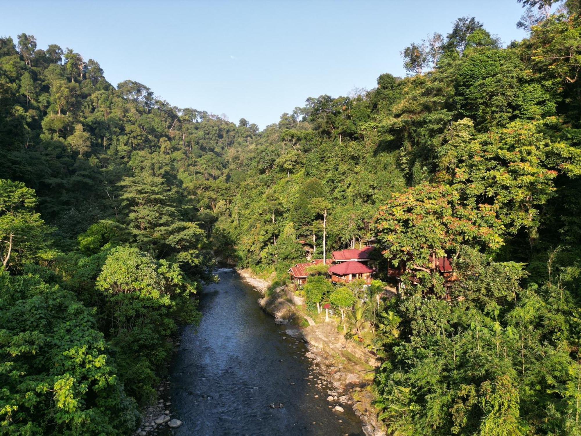 Kupu Kupu Garden Guest House & Cafe Bukit Lawang Exteriör bild
