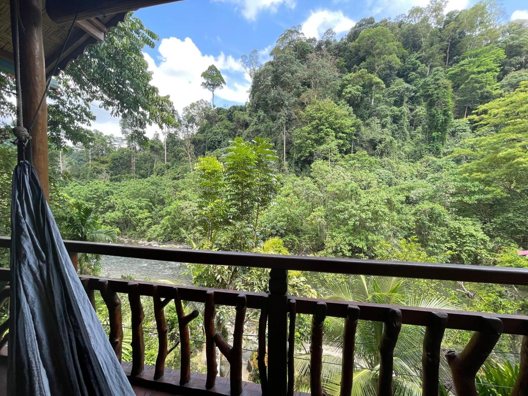 Kupu Kupu Garden Guest House & Cafe Bukit Lawang Exteriör bild