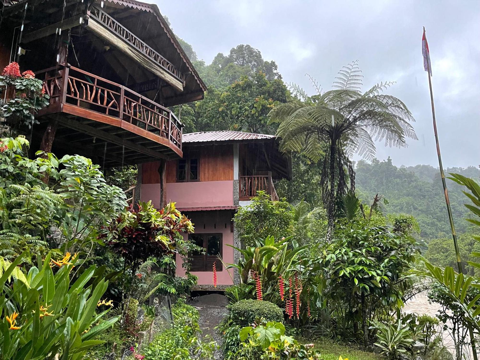 Kupu Kupu Garden Guest House & Cafe Bukit Lawang Exteriör bild