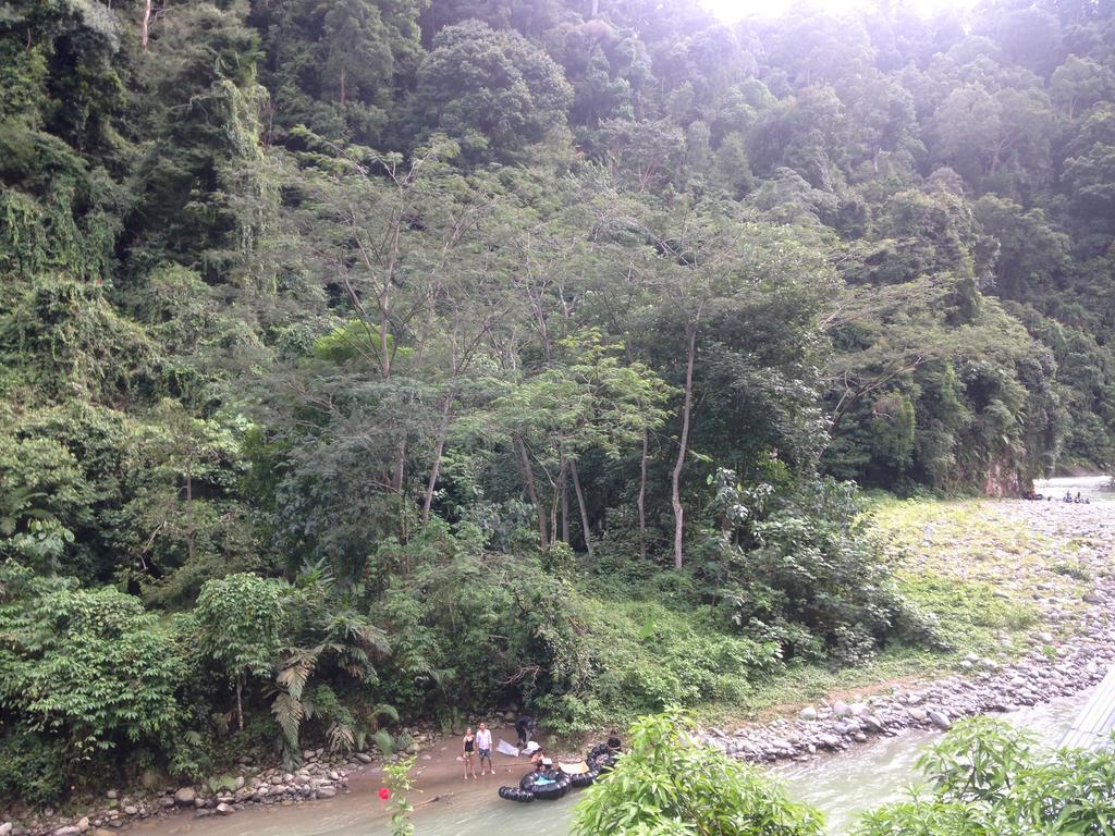 Kupu Kupu Garden Guest House & Cafe Bukit Lawang Exteriör bild