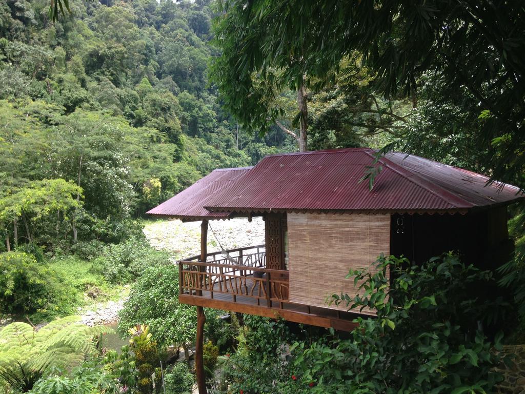 Kupu Kupu Garden Guest House & Cafe Bukit Lawang Exteriör bild