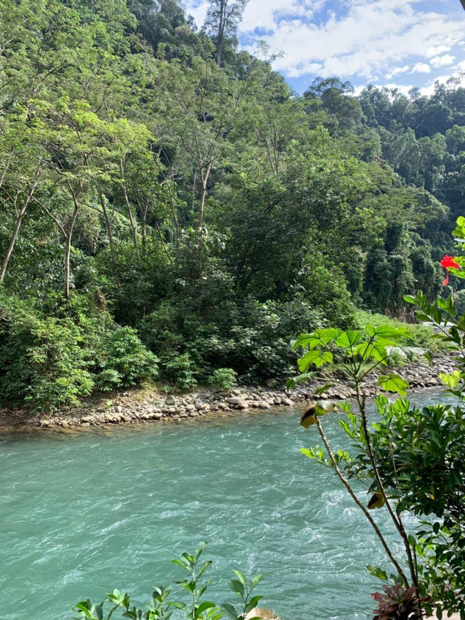Kupu Kupu Garden Guest House & Cafe Bukit Lawang Exteriör bild