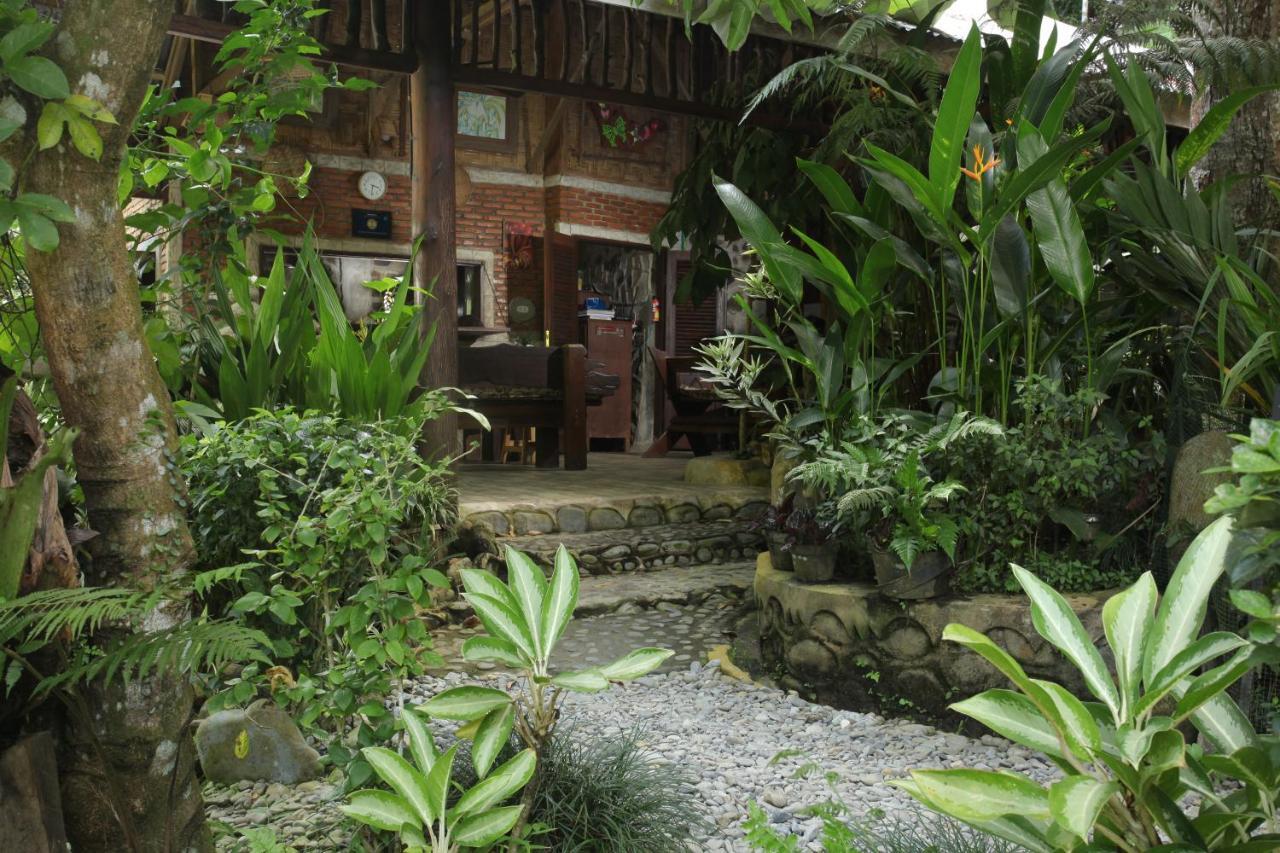 Kupu Kupu Garden Guest House & Cafe Bukit Lawang Exteriör bild